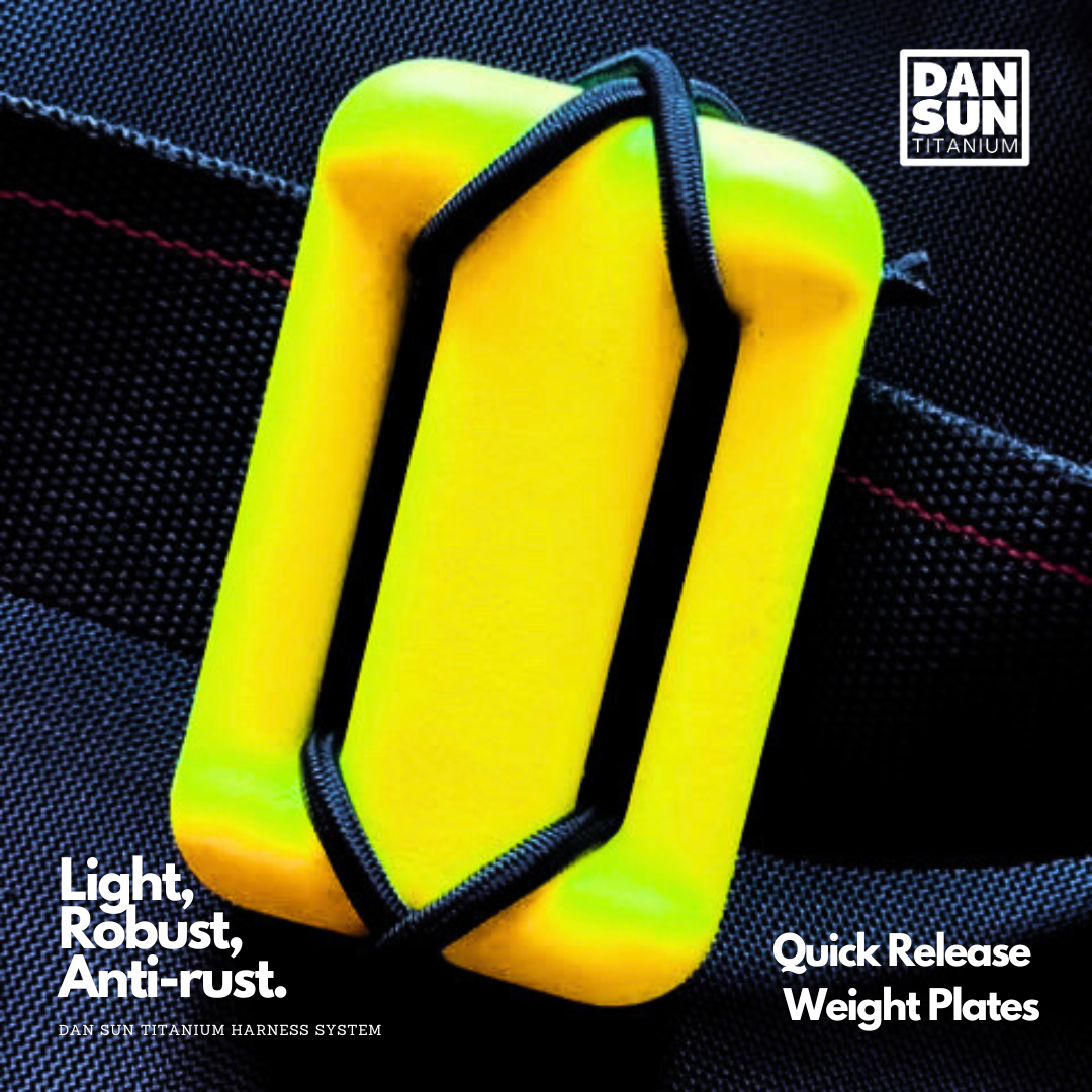 Quick Release Weight Plates (2pc) - Sidemount Harness System image 3