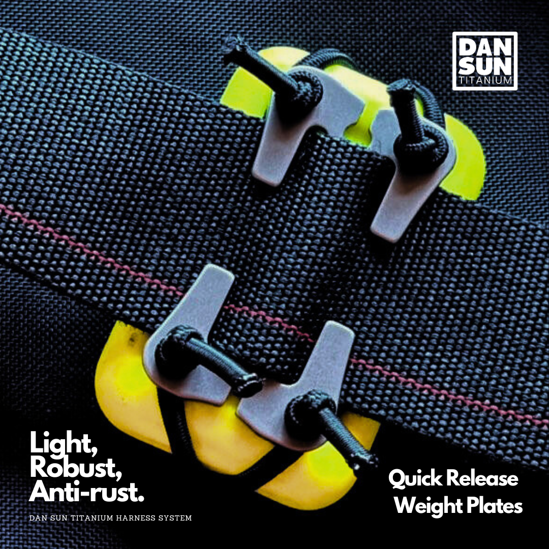 Quick Release Weight Plates (2pc) - Sidemount Harness System image 2
